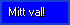Mitt val frn Internet!